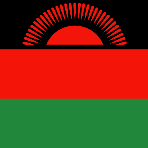 {locationName=Malawi, locationCode=MW, locationLogo=/img/flags/mw.png, operatorList=[Ljava.lang.Object;@582032c9}